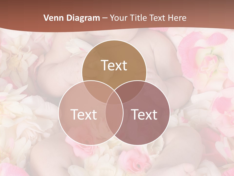 Look Tiny Studio PowerPoint Template