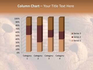 Peace Precious Security PowerPoint Template