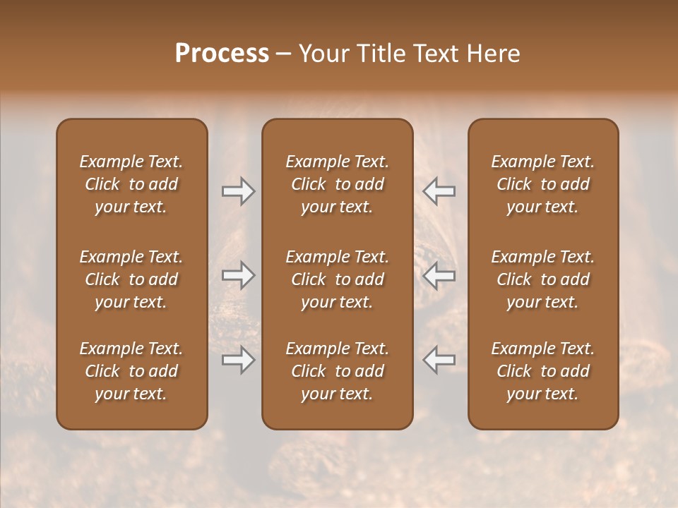 Rica Honduras Central PowerPoint Template