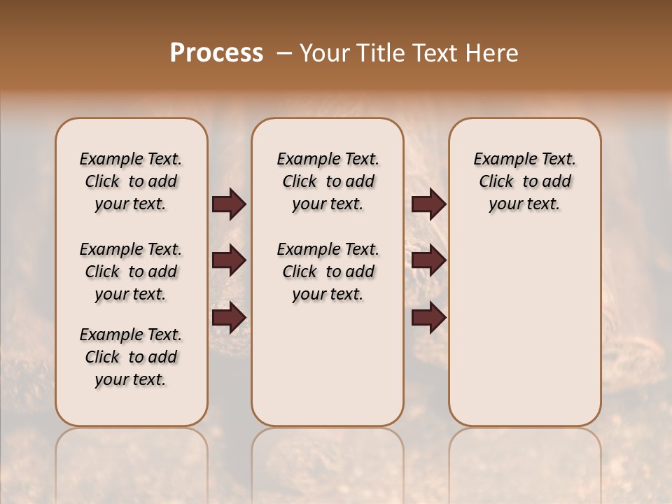 Rica Honduras Central PowerPoint Template
