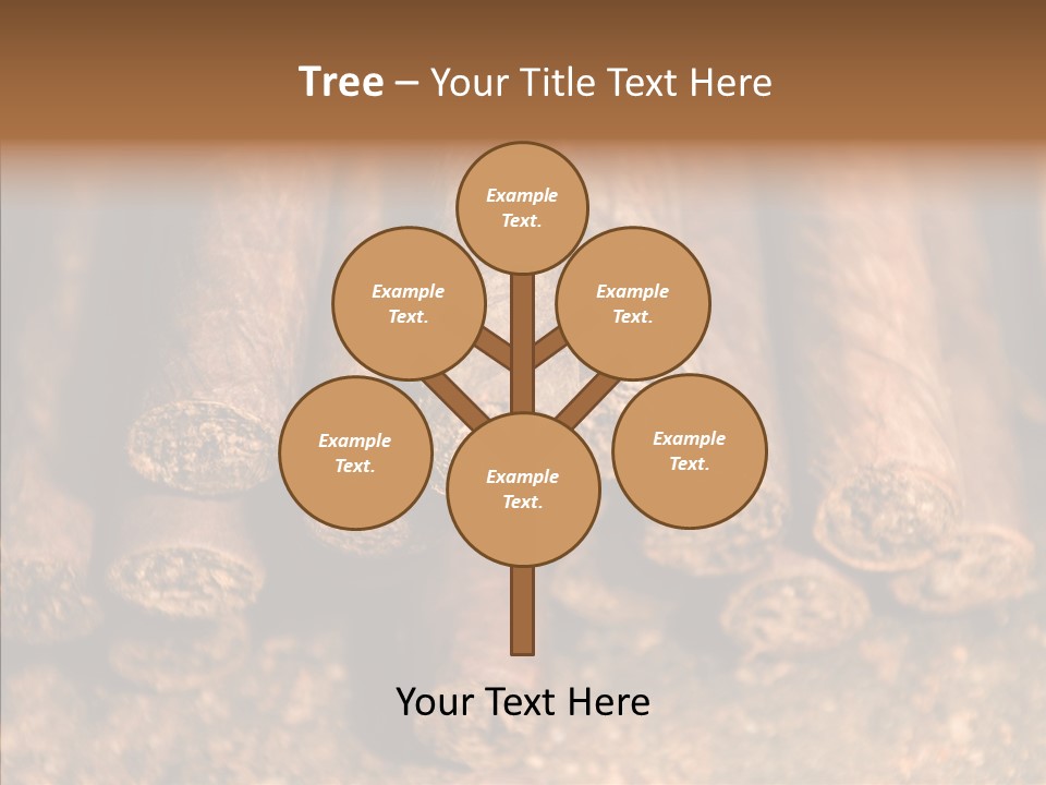 Rica Honduras Central PowerPoint Template