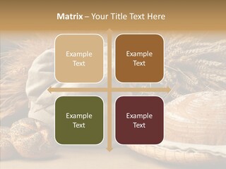 Corn Food Dinner PowerPoint Template