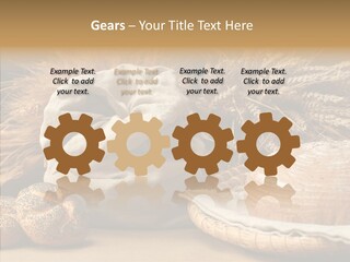 Corn Food Dinner PowerPoint Template