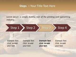 Corn Food Dinner PowerPoint Template