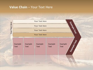 Corn Food Dinner PowerPoint Template