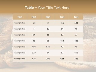 Corn Food Dinner PowerPoint Template
