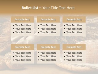 Corn Food Dinner PowerPoint Template