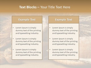 Corn Food Dinner PowerPoint Template