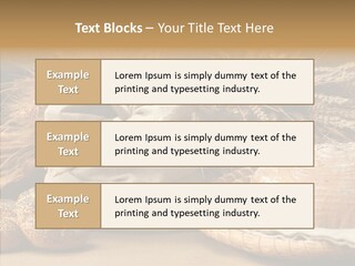 Corn Food Dinner PowerPoint Template