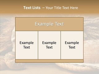 Corn Food Dinner PowerPoint Template