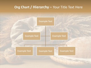 Corn Food Dinner PowerPoint Template