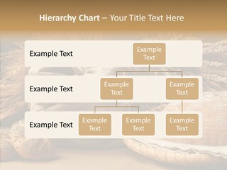 Corn Food Dinner PowerPoint Template