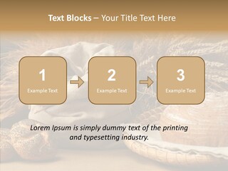 Corn Food Dinner PowerPoint Template