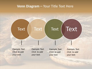 Corn Food Dinner PowerPoint Template