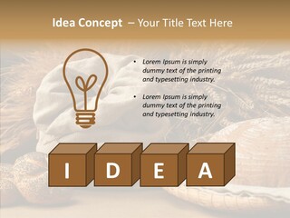 Corn Food Dinner PowerPoint Template