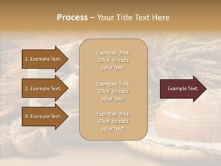 Corn Food Dinner PowerPoint Template