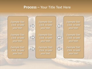 Corn Food Dinner PowerPoint Template