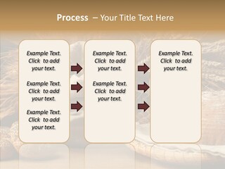 Corn Food Dinner PowerPoint Template