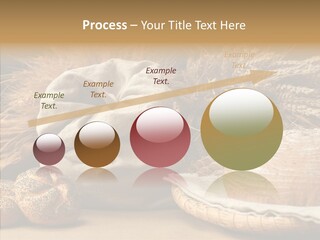 Corn Food Dinner PowerPoint Template