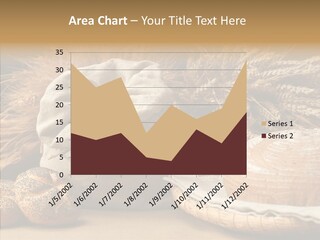 Corn Food Dinner PowerPoint Template