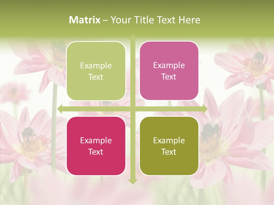 Cold Bee Collect PowerPoint Template