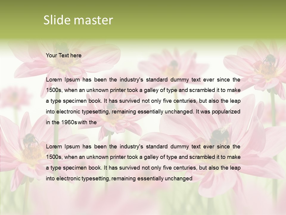 Cold Bee Collect PowerPoint Template