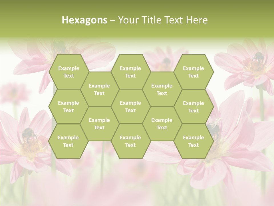 Cold Bee Collect PowerPoint Template