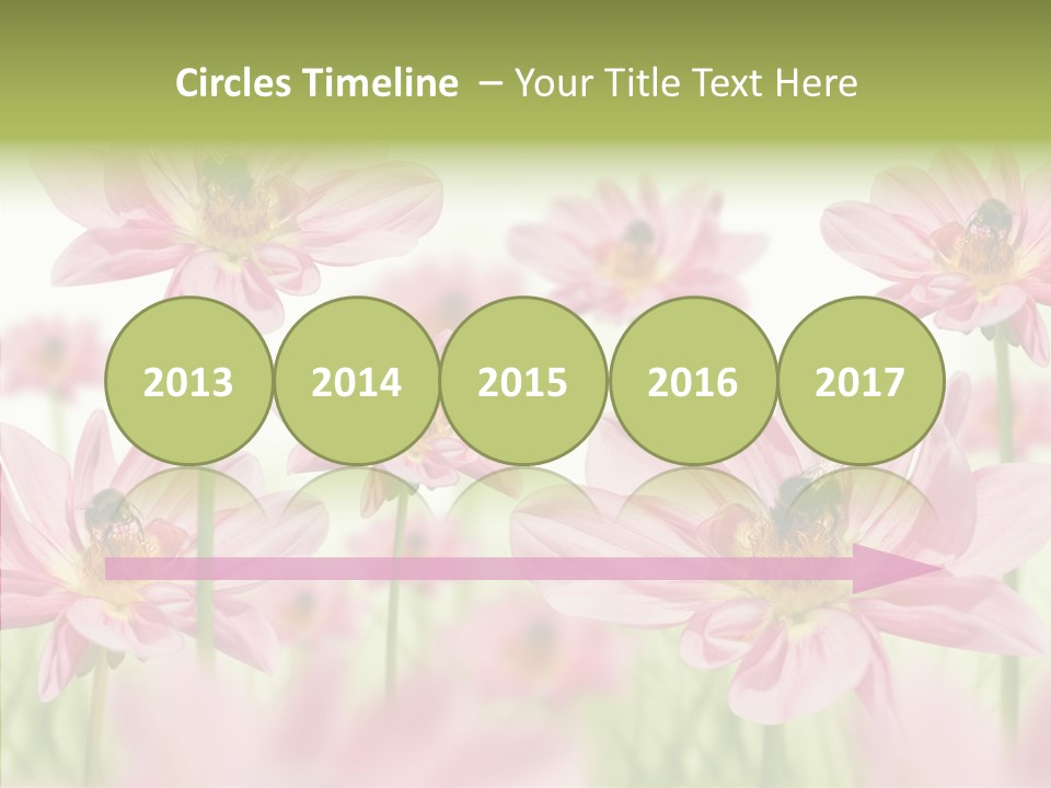 Cold Bee Collect PowerPoint Template