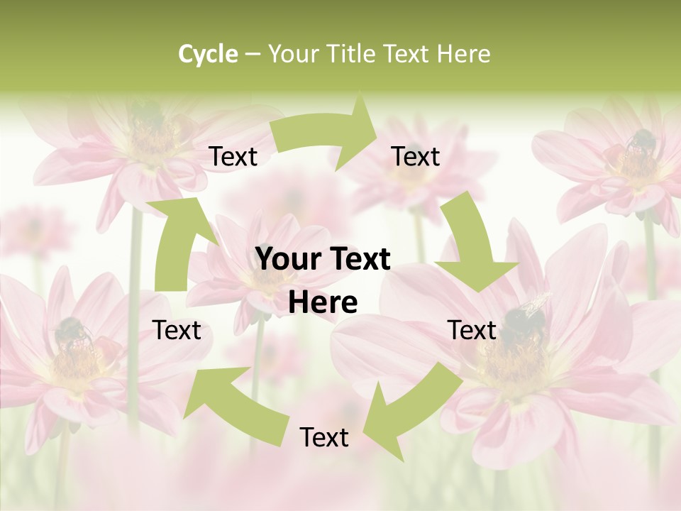 Cold Bee Collect PowerPoint Template