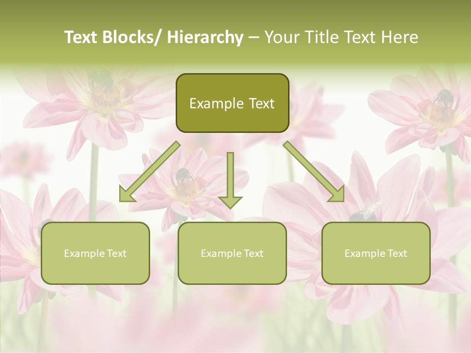 Cold Bee Collect PowerPoint Template