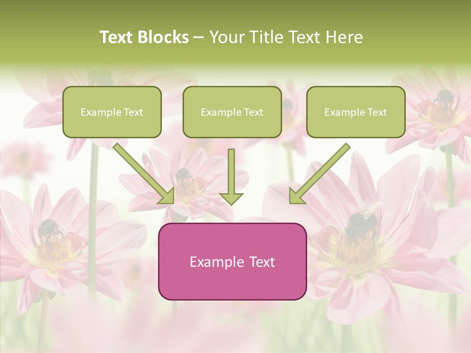 Cold Bee Collect PowerPoint Template