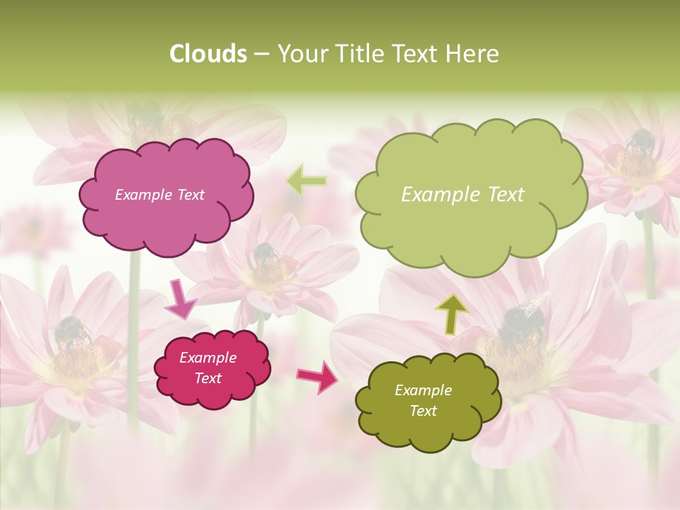 Cold Bee Collect PowerPoint Template