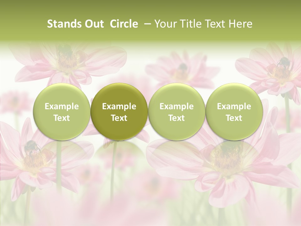 Cold Bee Collect PowerPoint Template