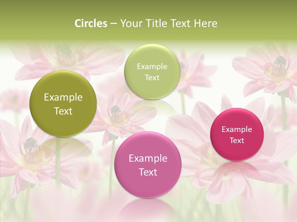 Cold Bee Collect PowerPoint Template
