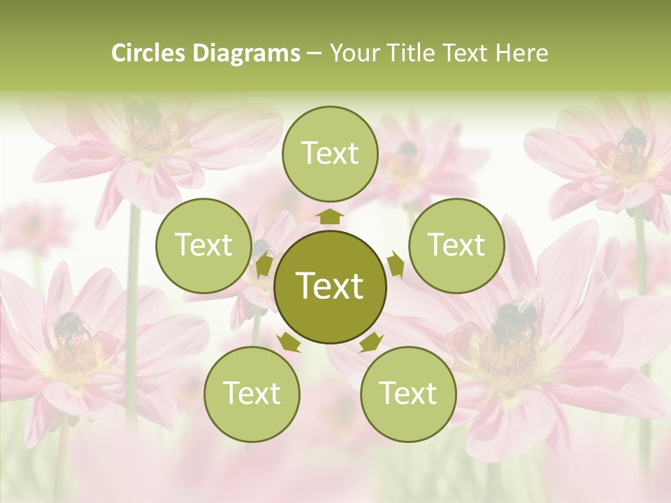 Cold Bee Collect PowerPoint Template