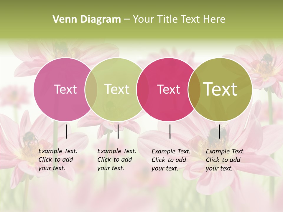 Cold Bee Collect PowerPoint Template