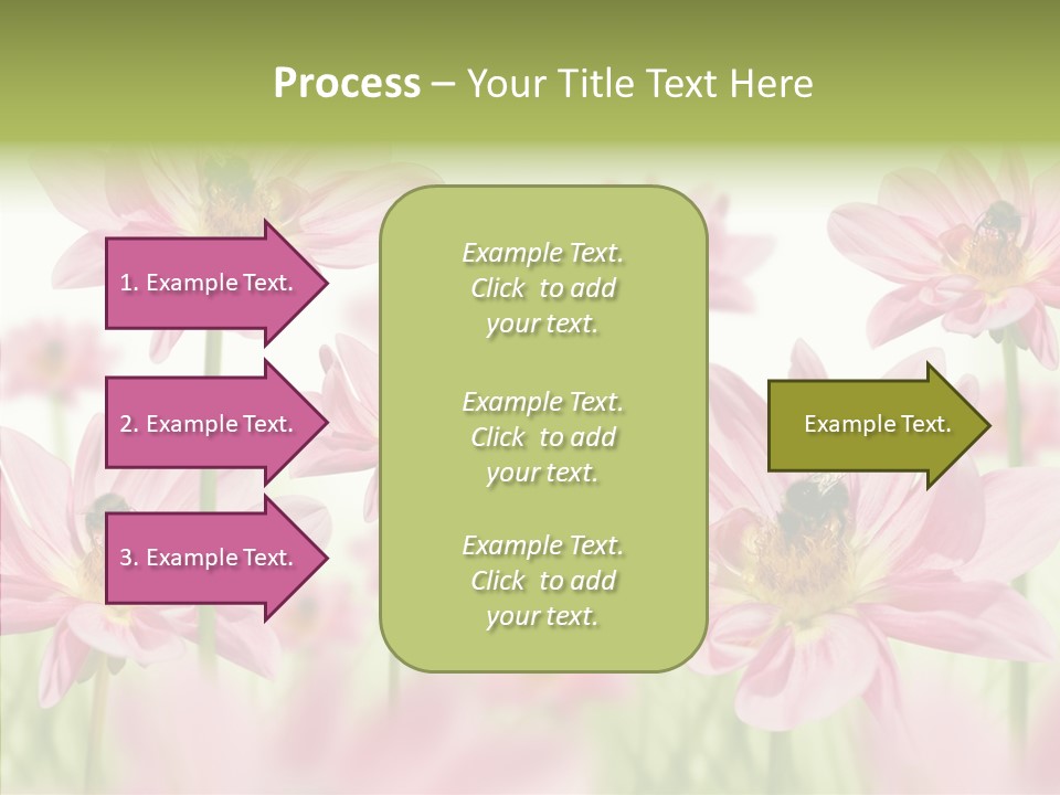 Cold Bee Collect PowerPoint Template