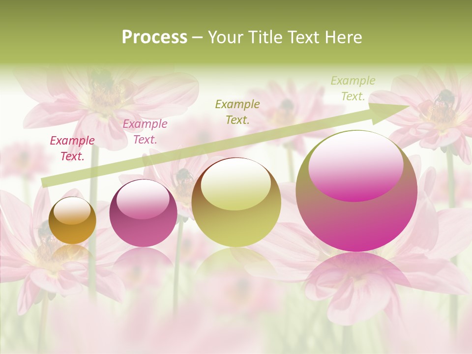 Cold Bee Collect PowerPoint Template