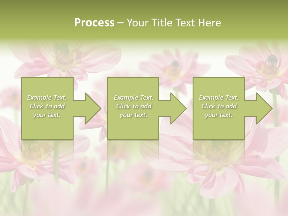 Cold Bee Collect PowerPoint Template
