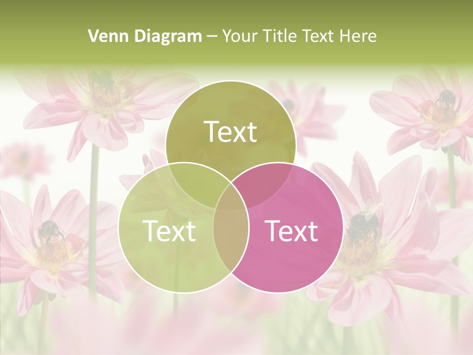 Cold Bee Collect PowerPoint Template