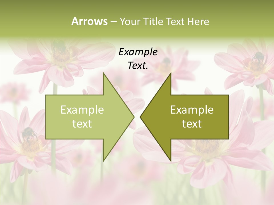Cold Bee Collect PowerPoint Template