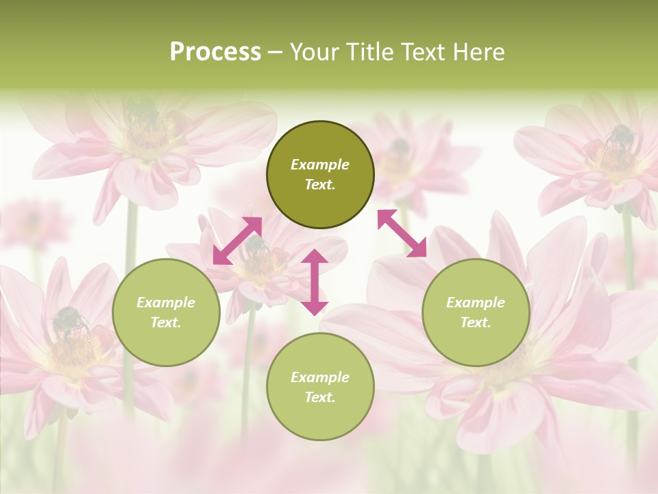 Cold Bee Collect PowerPoint Template