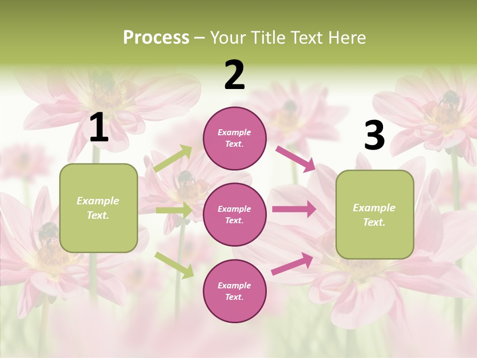 Cold Bee Collect PowerPoint Template