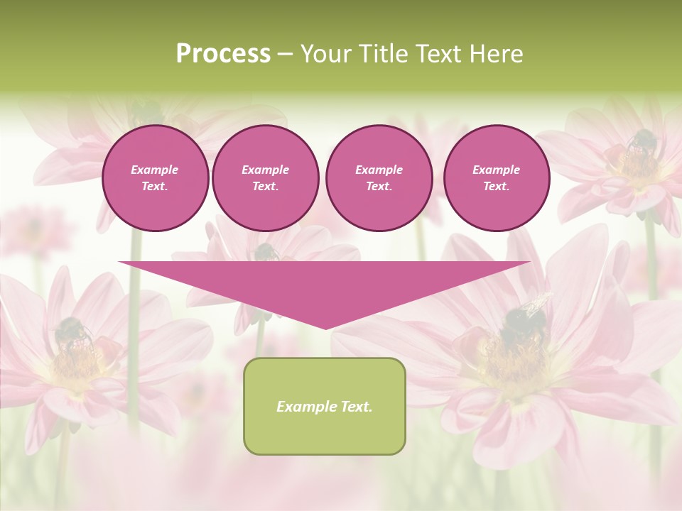 Cold Bee Collect PowerPoint Template