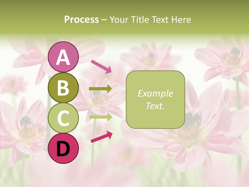 Cold Bee Collect PowerPoint Template
