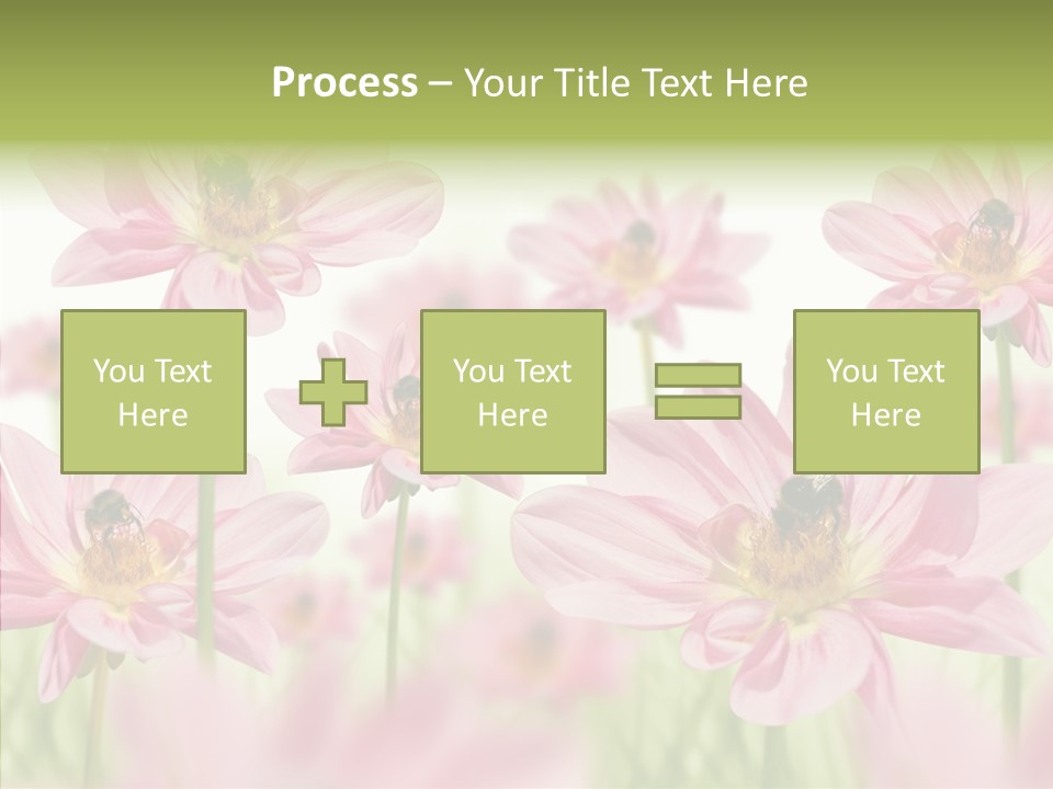 Cold Bee Collect PowerPoint Template