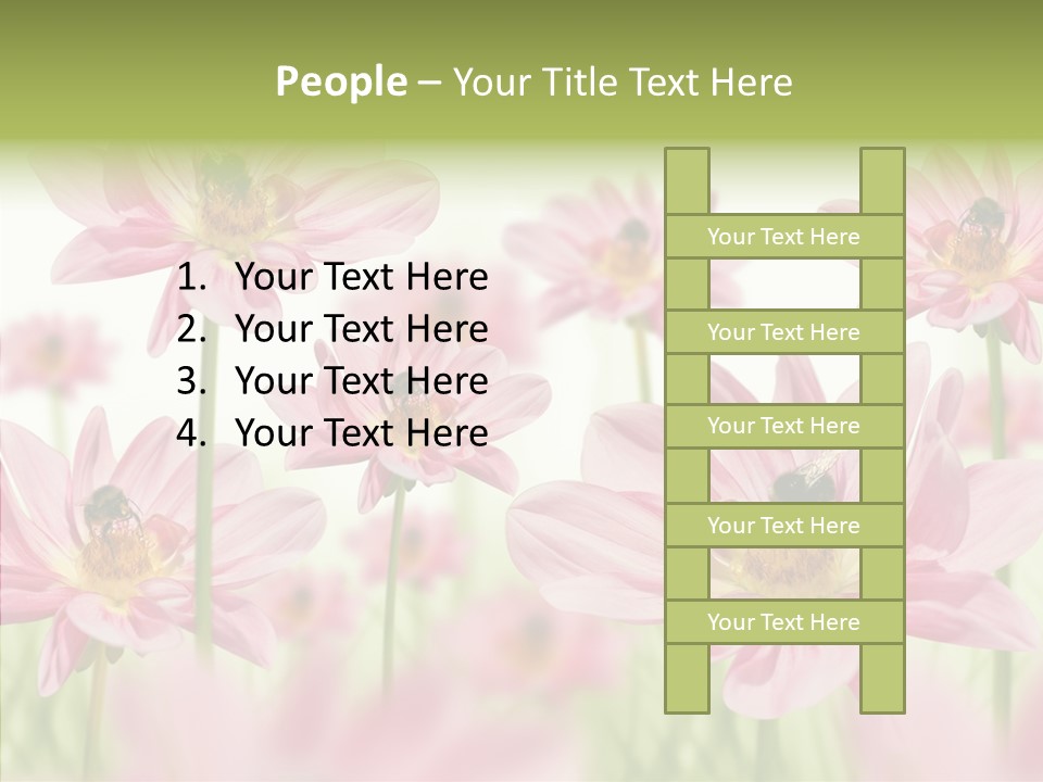 Cold Bee Collect PowerPoint Template