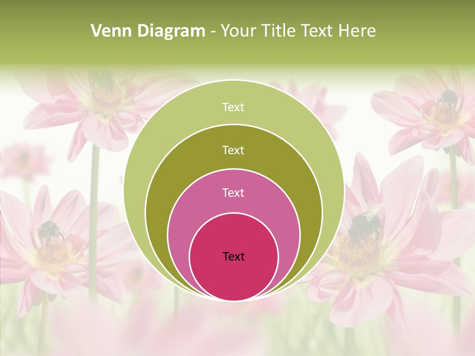 Cold Bee Collect PowerPoint Template