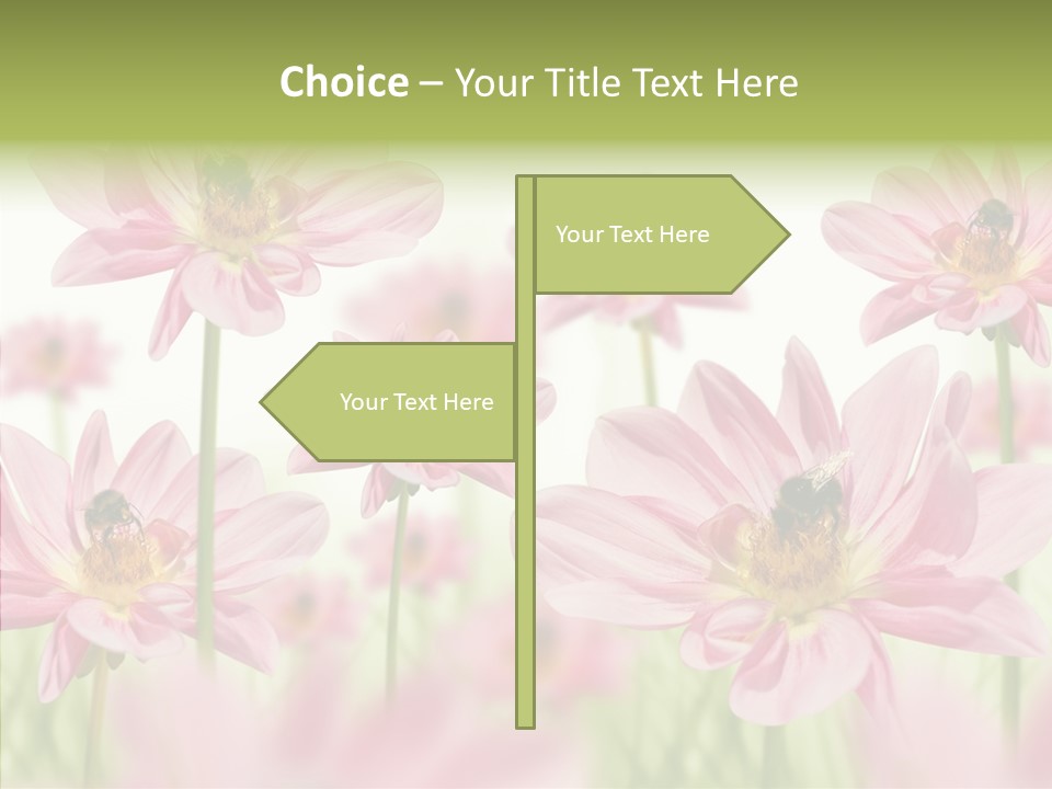 Cold Bee Collect PowerPoint Template