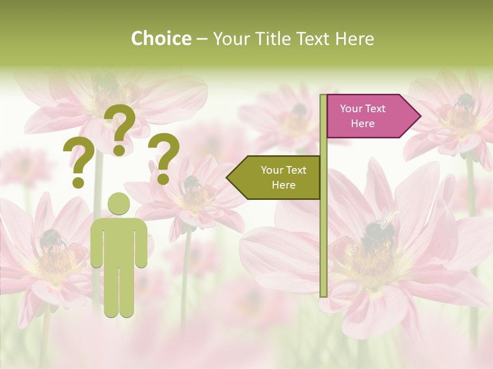 Cold Bee Collect PowerPoint Template